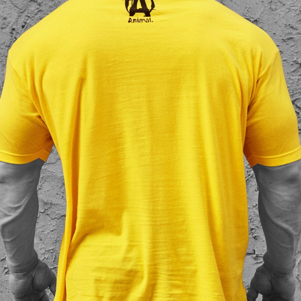 Animal Iconic t-shirt - Picture 3 of 5